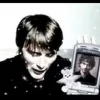 kitten..8