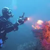 SylDiver