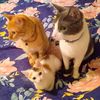 tom.tina_and_patro