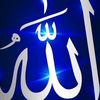 user1336125966949