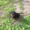 sergeevna3698