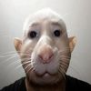 billybob12356