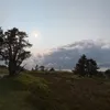 lauuu4289