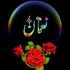 noman.khan121224