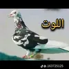 user3502601001196