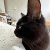 piotroza0