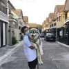 mjaangue