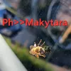 makytara__ph8