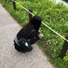 seira._1002