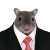 ck_mtxihgaii