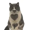 couchpotato_y4y