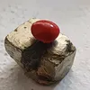 sacred_seed
