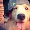 sean_kalma