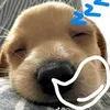 khanh_bang1120