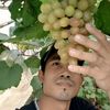 mahyudi.ifit