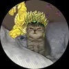 rey_gnv