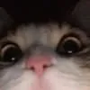 hoangphuczzzzzz123