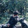 mwlyn