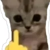 phmnhttrng
