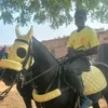 abubakarshuaibu603