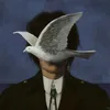 8sqe_