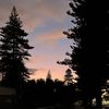 sophi_2024_