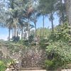 tukang.sareh2