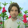 sajjad.ali.baloch237