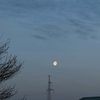 birzhan4043
