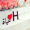 ziad.mohamed7147