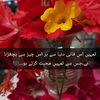 rafayumar93