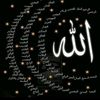 user8192705224933