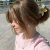 nyphn