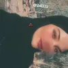 24f17z