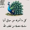 user2940177619048