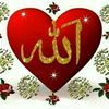 zulzul8023