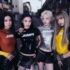 Black pink_Blink_7