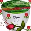 user7811694126728