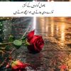 raza.chohan839