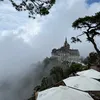 huynh.huynh710