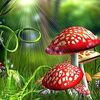 md.sohel6709