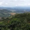 paulo.geovani.gom