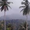 murai.batu926