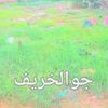 user5291839030150
