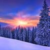 amal.shalbi0
