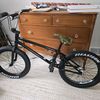 bradleysmith3900