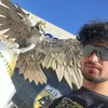 karras_gr21