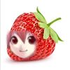 strawberry.teto