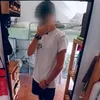 platanit00027