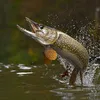 fishnerdddddd.com